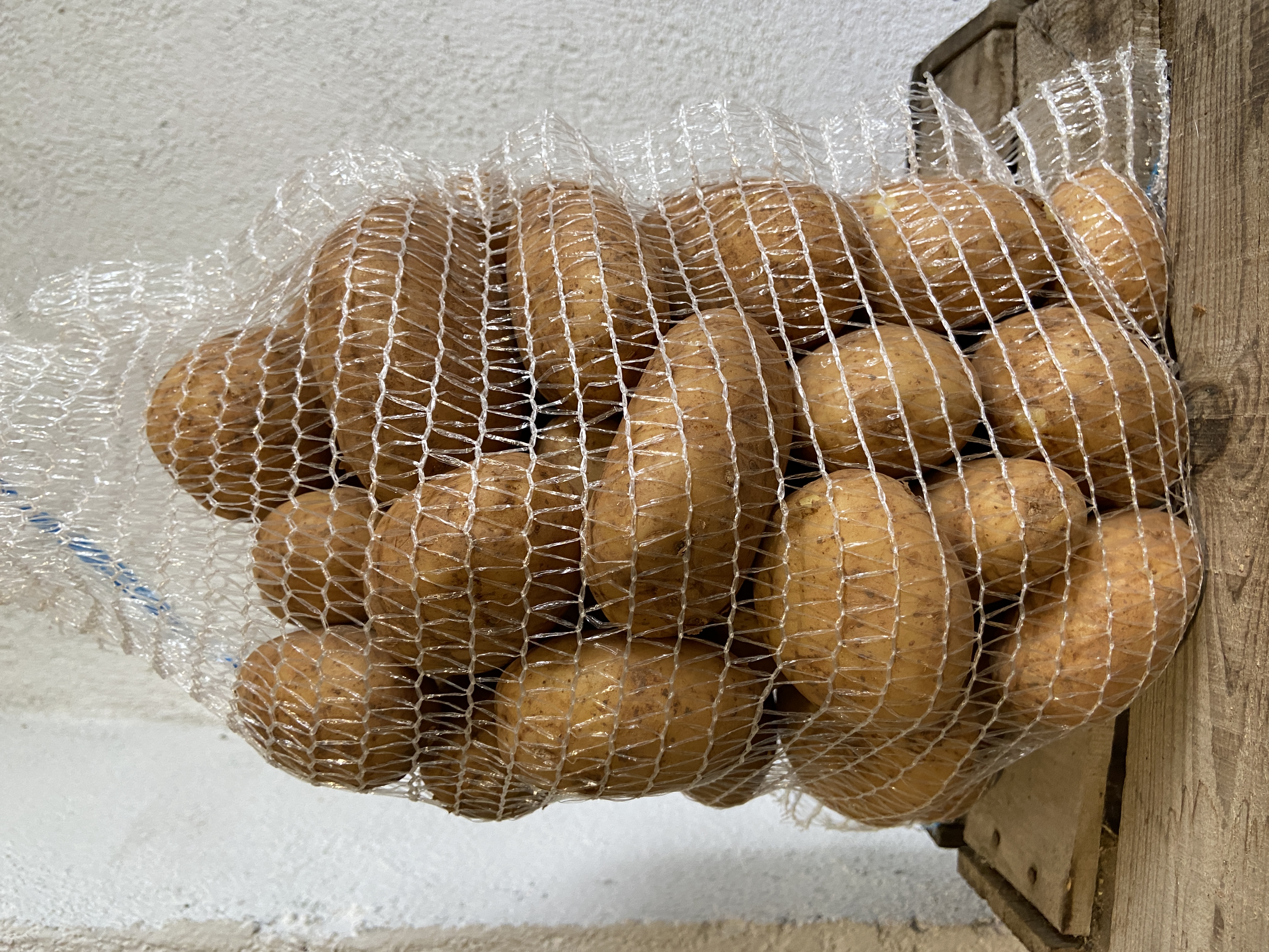 Sac Patates Kennebec (Blanca) 5 Kg